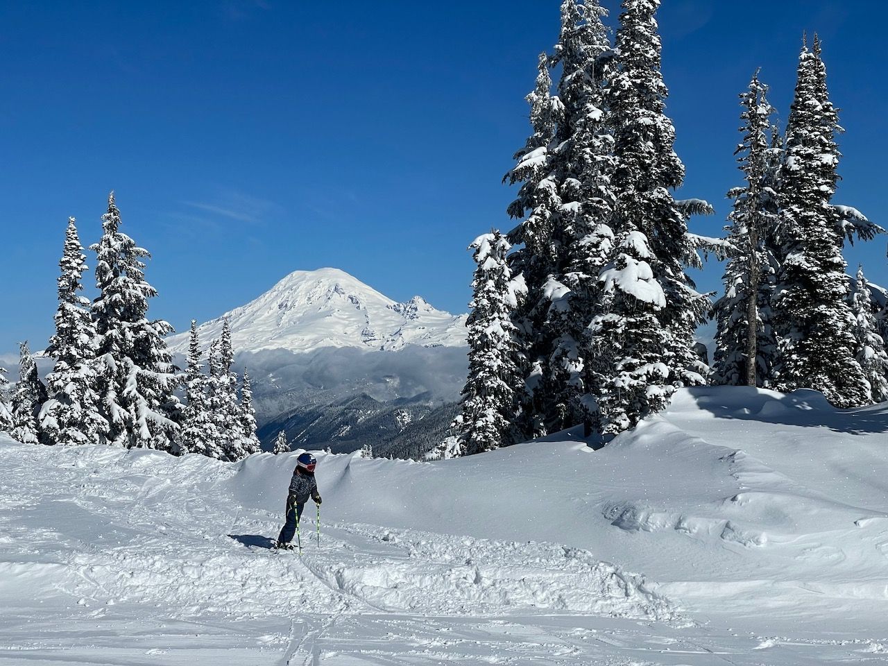 Wyatt's Rainier Map